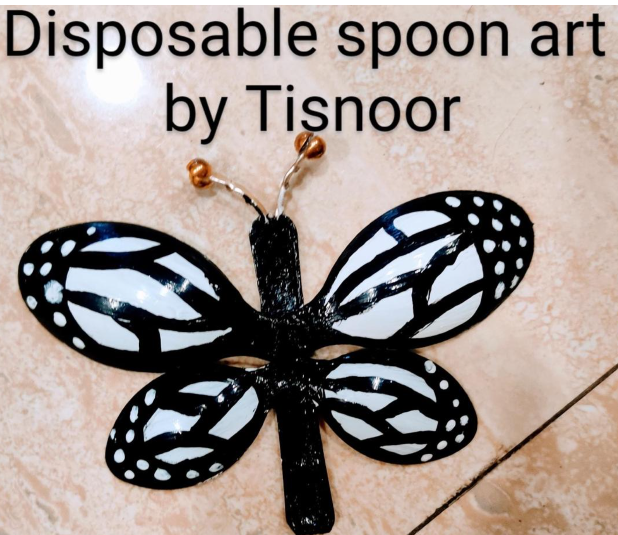 Craft work by Tisnoor