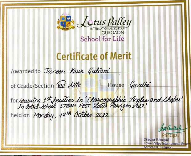 Inter-school award certificate