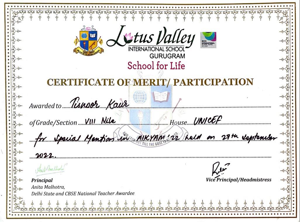 MUN award certificate